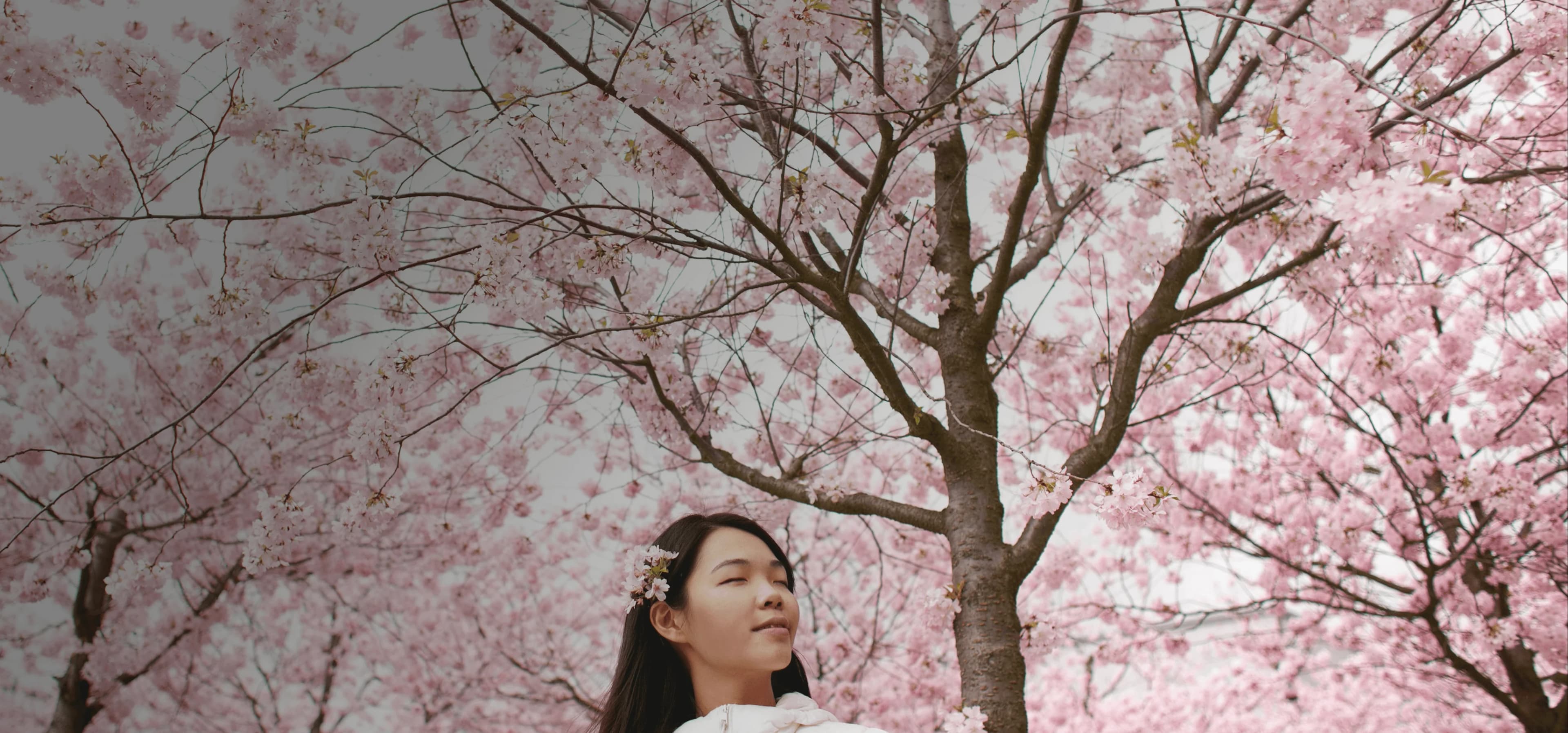 Mädchen steht gelassen vor Kirschblüten, die den ganzen Himmel verdecken. Darüber liegt das japanische Wort „haru“ mit seiner deutschen Übersetzung „Frühling“.