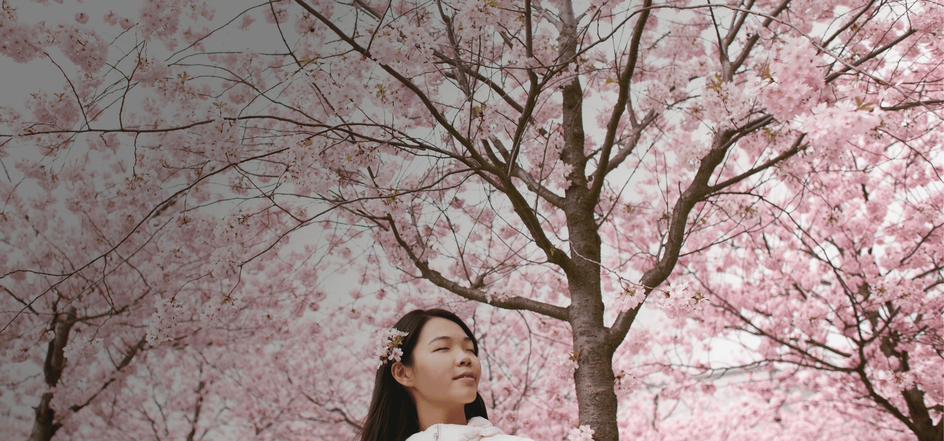 Mädchen steht gelassen vor Kirschblüten, die den ganzen Himmel verdecken. Darüber liegt das japanische Wort „haru“ mit seiner deutschen Übersetzung „Frühling“.