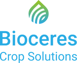 BCS-Logo