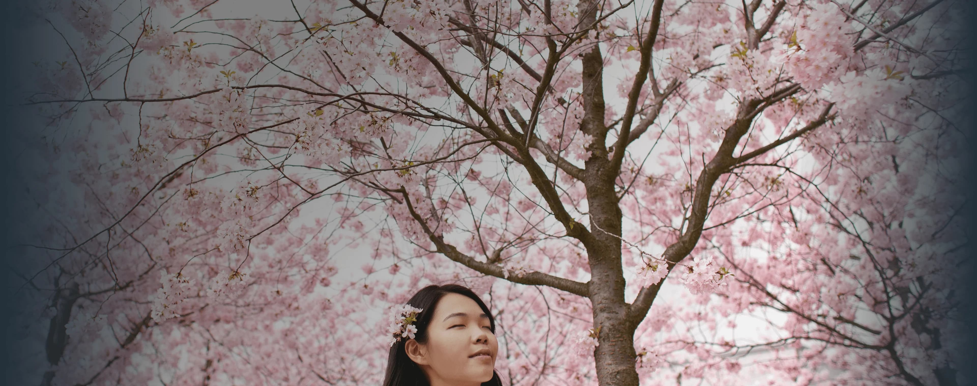 Mädchen steht gelassen vor Kirschblüten, die den ganzen Himmel verdecken. Darüber liegt das japanische Wort „haru“ mit seiner deutschen Übersetzung „Frühling“.