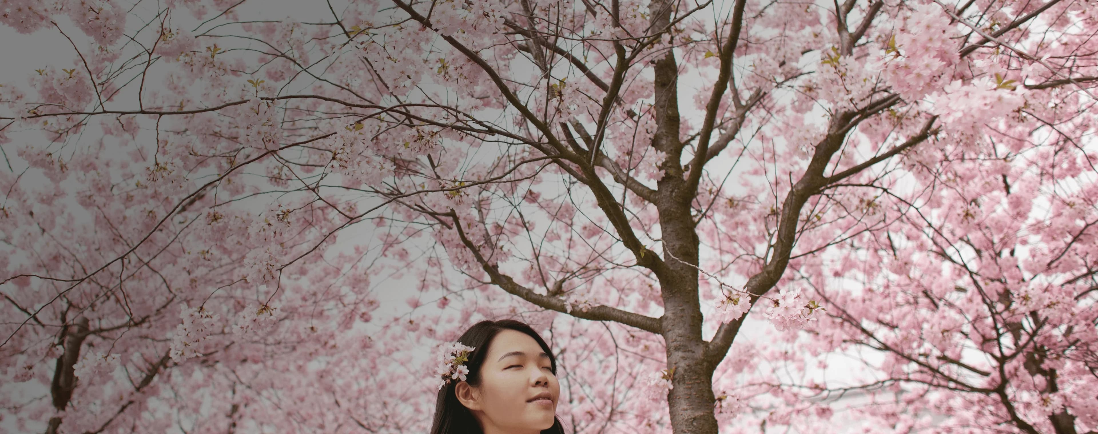 Mädchen steht gelassen vor Kirschblüten, die den ganzen Himmel verdecken. Darüber liegt das japanische Wort „haru“ mit seiner deutschen Übersetzung „Frühling“.